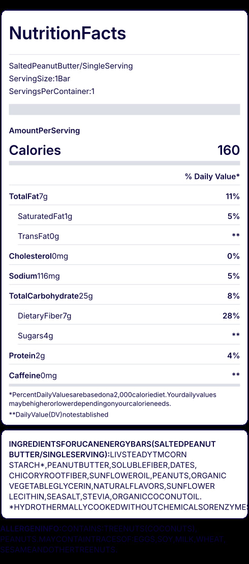 Energy Bar Salted Peanut
